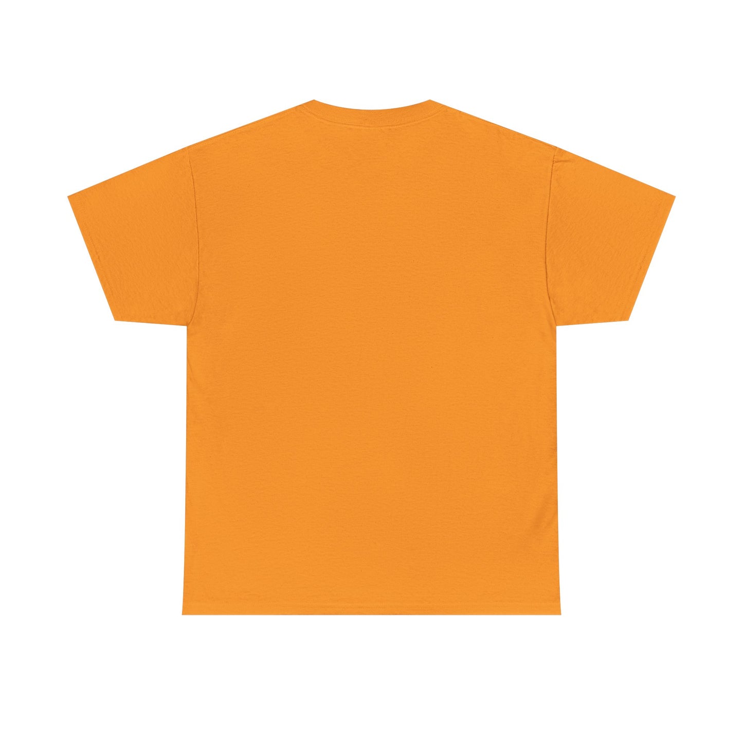 Survivor Unisex Tee - ISURVIVE Collection