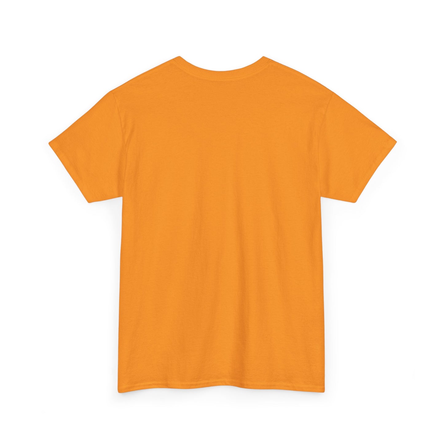 Survivor Unisex Tee - ISURVIVE Collection