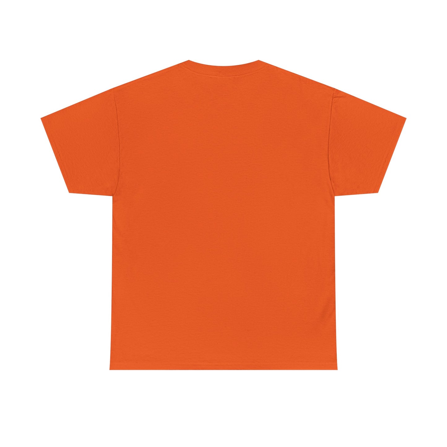 Survivor Unisex Tee - ISURVIVE Collection